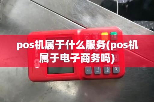 pos机属于什么服务(pos机属于电子商务吗)