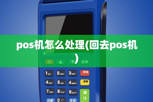 pos机怎么处理(回去pos机)