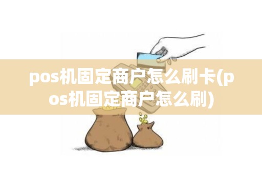 pos机固定商户怎么刷卡(pos机固定商户怎么刷)