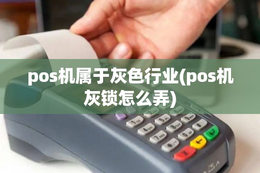 pos机属于灰色行业(pos机灰锁怎么弄)