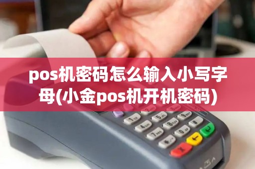 pos机密码怎么输入小写字母(小金pos机开机密码)