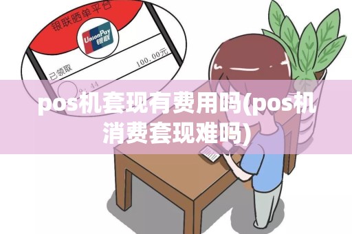 pos机套现有费用吗(pos机消费套现难吗)