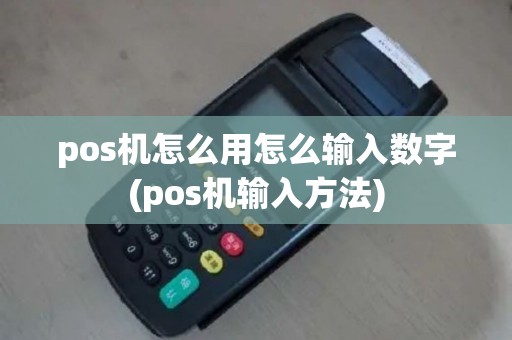 pos机怎么用怎么输入数字(pos机输入方法)