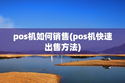 pos机如何销售(pos机快速出售方法)