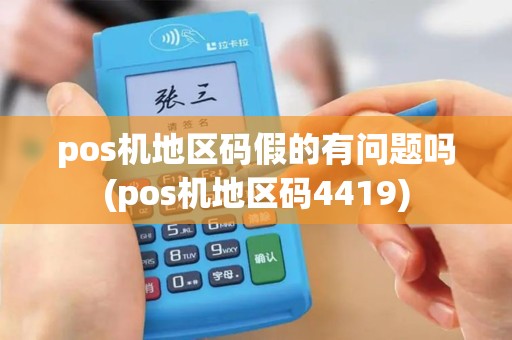 pos机地区码假的有问题吗(pos机地区码4419)