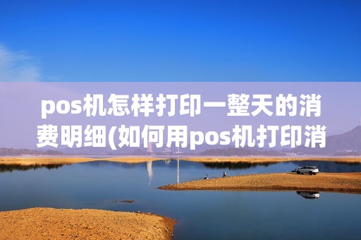 pos机怎样打印一整天的消费明细(如何用pos机打印消费小票)