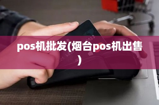 pos机批发(烟台pos机出售)
