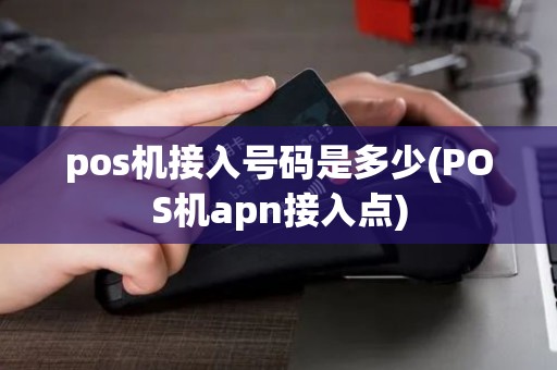 pos机接入号码是多少(POS机apn接入点)