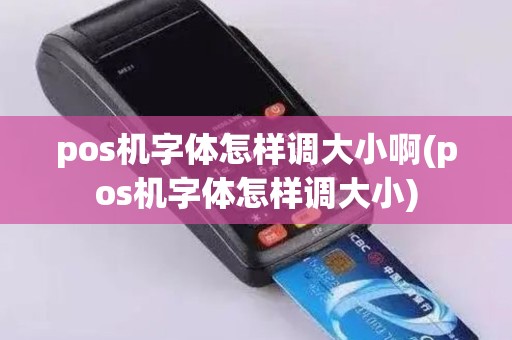 pos机字体怎样调大小啊(pos机字体怎样调大小)