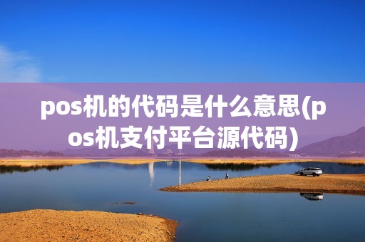 pos机的代码是什么意思(pos机支付平台源代码)