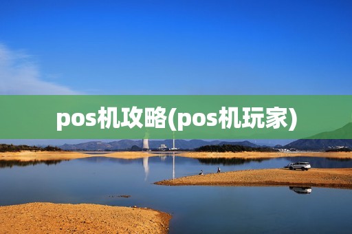 pos机攻略(pos机玩家)