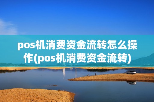 pos机消费资金流转怎么操作(pos机消费资金流转)