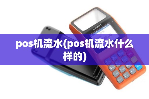 pos机流水(pos机流水什么样的)