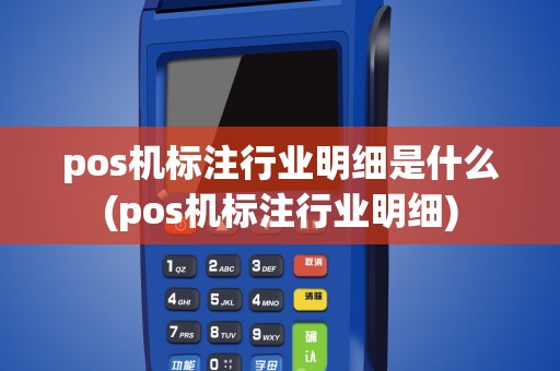 pos机标注行业明细是什么(pos机标注行业明细)