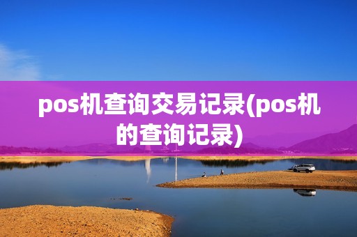 pos机查询交易记录(pos机的查询记录)