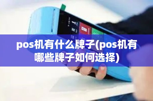 pos机有什么牌子(pos机有哪些牌子如何选择)