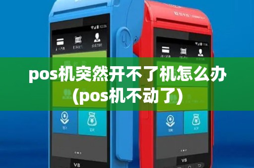 pos机突然开不了机怎么办(pos机不动了)