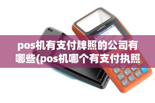 pos机有支付牌照的公司有哪些(pos机哪个有支付执照)