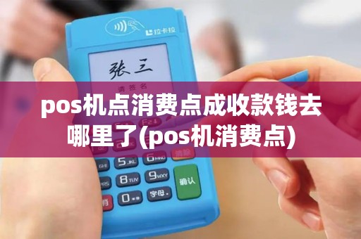 pos机点消费点成收款钱去哪里了(pos机消费点)