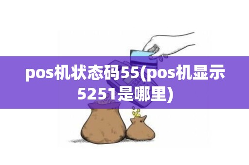 pos机状态码55(pos机显示5251是哪里)