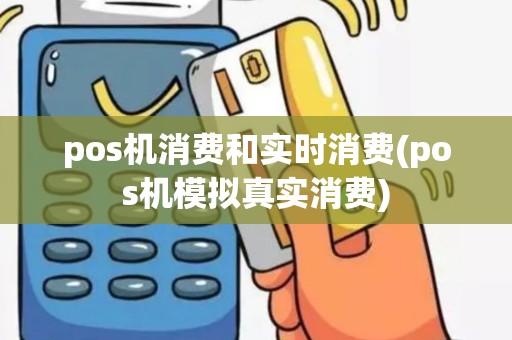 pos机消费和实时消费(pos机模拟真实消费)