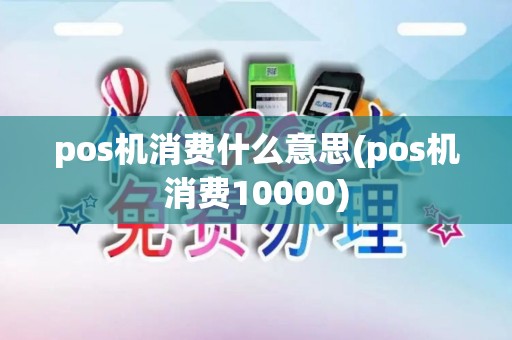 pos机消费什么意思(pos机消费10000)