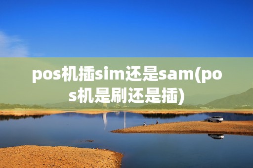 pos机插sim还是sam(pos机是刷还是插)