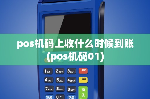 pos机码上收什么时候到账(pos机码01)