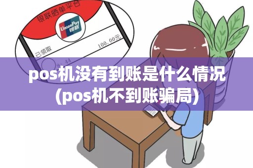 pos机没有到账是什么情况(pos机不到账骗局)
