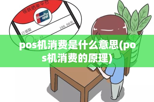 pos机消费是什么意思(pos机消费的原理)
