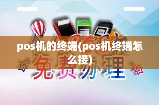 pos机的终端(pos机终端怎么接)