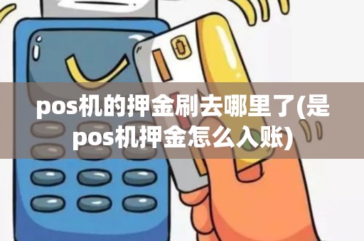 pos机的押金刷去哪里了(是pos机押金怎么入账)