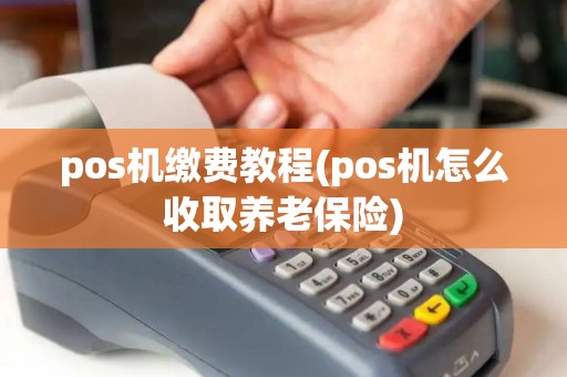 pos机缴费教程(pos机怎么收取养老保险)