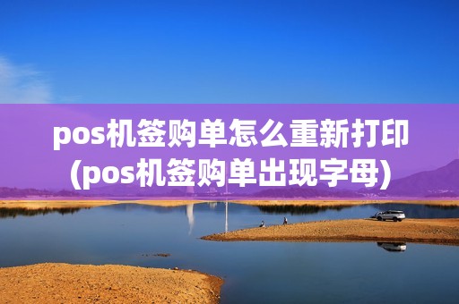 pos机签购单怎么重新打印(pos机签购单出现字母)