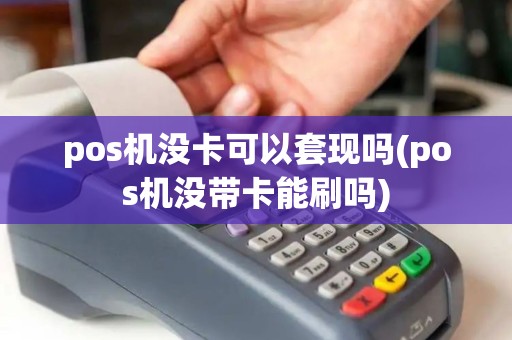 pos机没卡可以套现吗(pos机没带卡能刷吗)