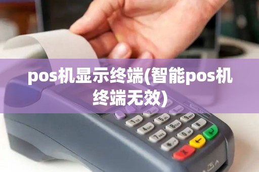 pos机显示终端(智能pos机终端无效)