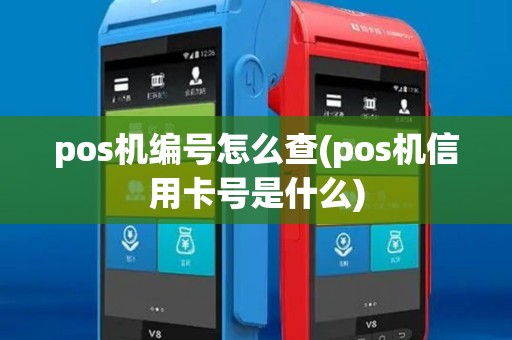 pos机编号怎么查(pos机信用卡号是什么)