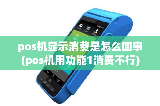 pos机显示消费是怎么回事(pos机用功能1消费不行)