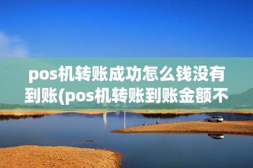pos机转账成功怎么钱没有到账(pos机转账到账金额不对)