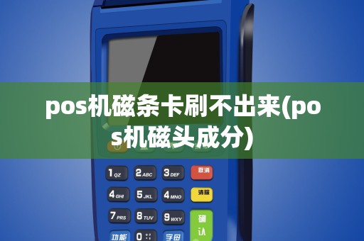 pos机磁条卡刷不出来(pos机磁头成分)