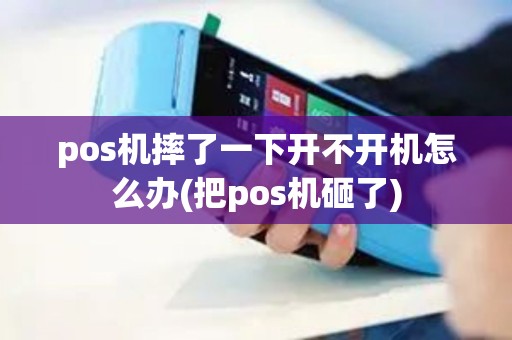 pos机摔了一下开不开机怎么办(把pos机砸了)