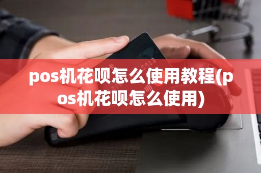 pos机花呗怎么使用教程(pos机花呗怎么使用)