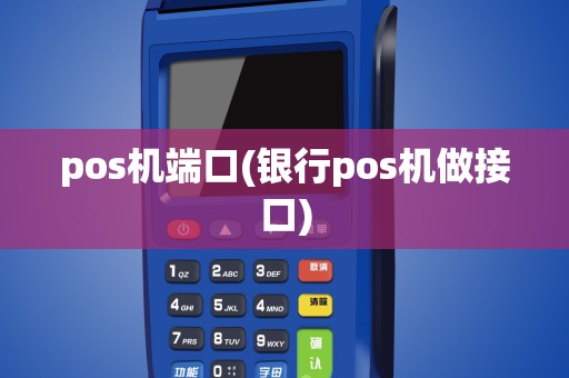 pos机端口(银行pos机做接口)