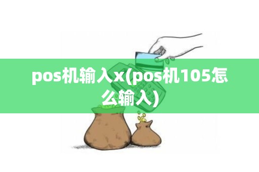 pos机输入x(pos机105怎么输入)