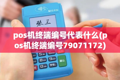 pos机终端编号代表什么(pos机终端编号79071172)
