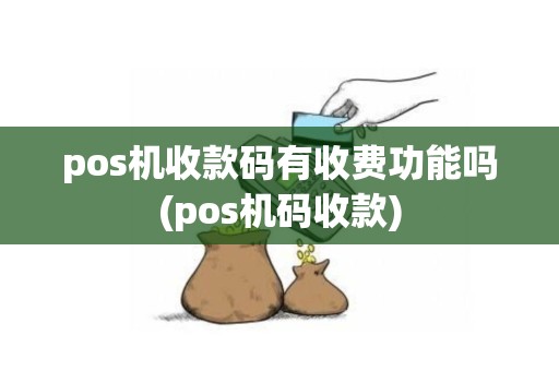 pos机收款码有收费功能吗(pos机码收款)