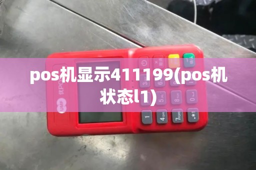 pos机显示411199(pos机状态l1)