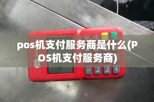 pos机支付服务商是什么(POS机支付服务商)