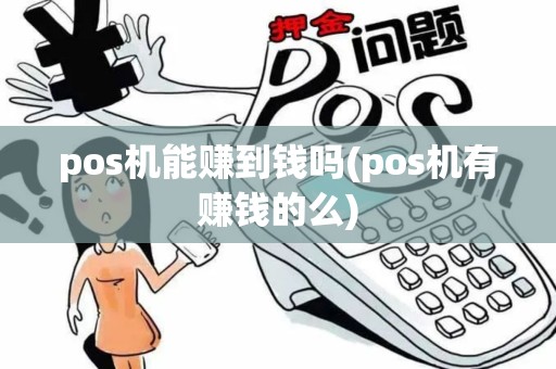 pos机能赚到钱吗(pos机有赚钱的么)
