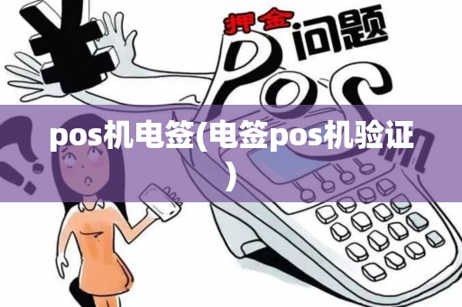 pos机电签(电签pos机验证)